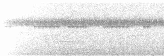 hvitskjeggmanakin - ML619098352