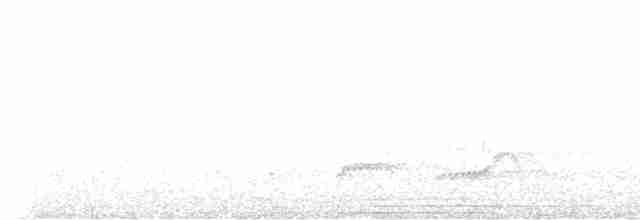Bergnachtschwalbe - ML619099903