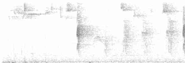 Пестрогрудый лесовик - ML619100024