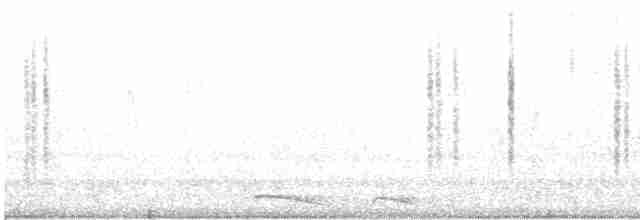 Цинантус синьогорлий - ML619100201