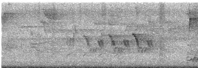 Черногорлая хвойница - ML619100594