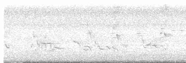 Пересмішник сірий - ML619101350