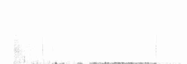 Trogon élégant (groupe ambiguus) - ML619101738
