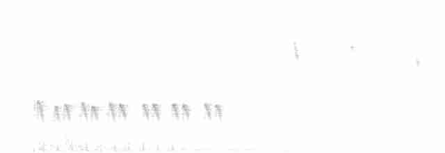 Gözlüklü Baştankara - ML619101761