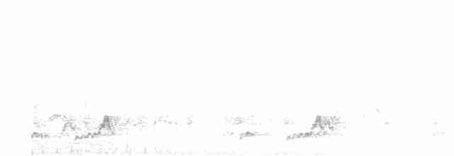 Mexikonachtschwalbe - ML619101836