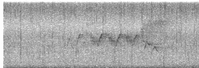 Cerulean Warbler - ML619103902