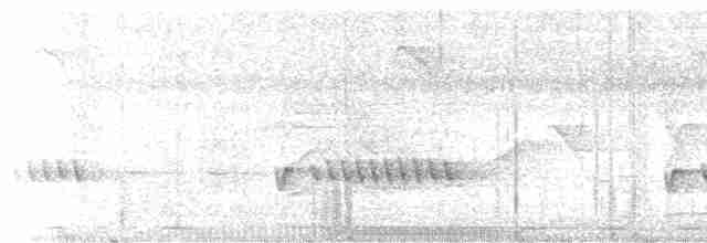 Luzonschneidervogel - ML619103961
