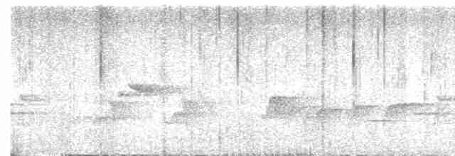 Серогрудый крапивник - ML619104393