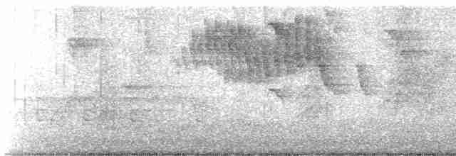Желтокрылая червеедка - ML619104921