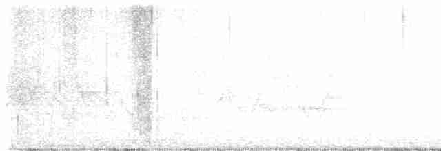 雑種 キンバネアメリカムシクイ ｘ アオバネアメリカムシクイ（F1雑種） - ML619104976