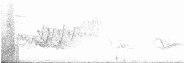 Cerulean Warbler - ML619105135