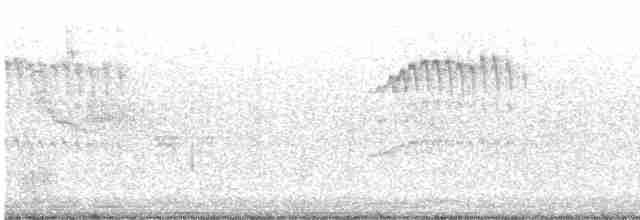 Swinhoe's White-eye - ML619105266
