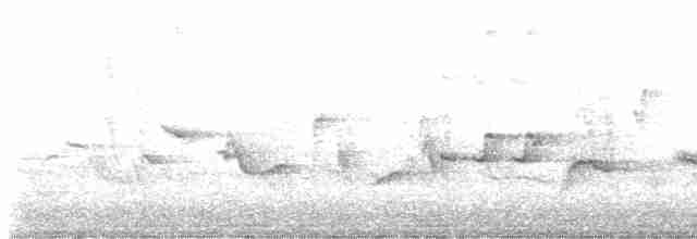 Oriole des vergers - ML619106163