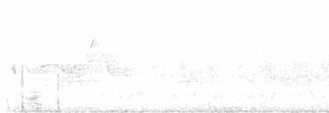 Дрізд-короткодзьоб бурий - ML619106245