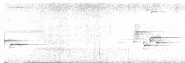 Дрізд-короткодзьоб сірий - ML619106915