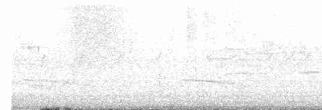 Gray-bellied Cuckoo - ML619107135