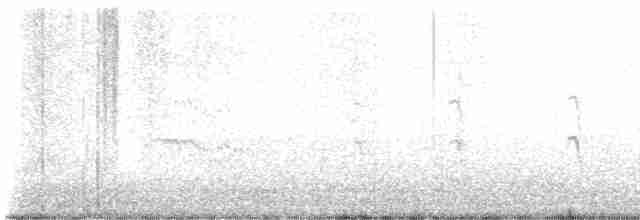 Common Tern - ML619108019