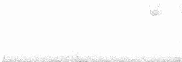 Черноспинный трёхпалый дятел - ML619108495