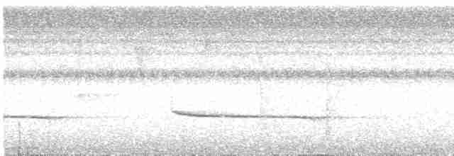 Серошапочный сорокопутовый виреон - ML619108549