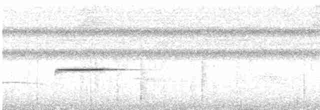 Pullu Çıtkuşu - ML619108552