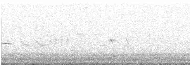 Green-tailed Towhee - ML619108873