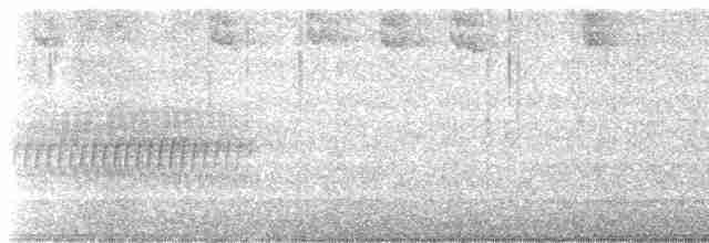 Spotted Towhee (oregonus Group) - ML619109864