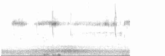 Широкохвостый колибри - ML619109902