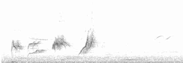 Curve-billed Thrasher - ML619110299