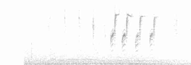 Troglodyte de Latham - ML619110314