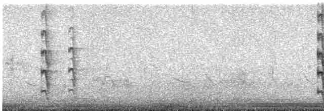 Common Tern - ML619110894