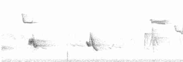Черноголовый толстонос - ML619110973