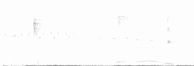 Common Yellowthroat - ML619111083