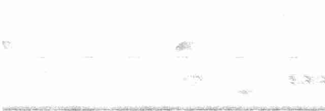 Çalı Tinamusu - ML619111379