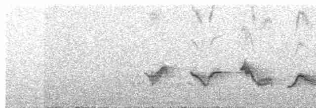 Чернокрылая пиранга - ML619111382