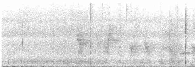 Thicket Tinamou - ML619111659