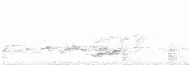 Тимелія-криводзьоб рудобока - ML619111681