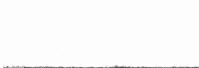 Чернокрылая пиранга - ML619111738