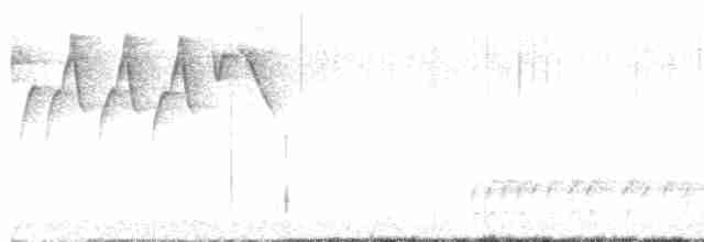 lesňáček černobílý - ML619111761