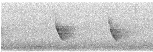 Vireo de Hutton - ML619113248