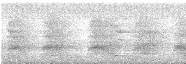 Şerit Karınlı Çıtkuşu - ML619113691