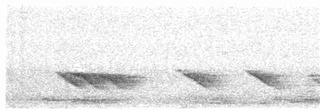 Дрізд-короткодзьоб бурий - ML61911521