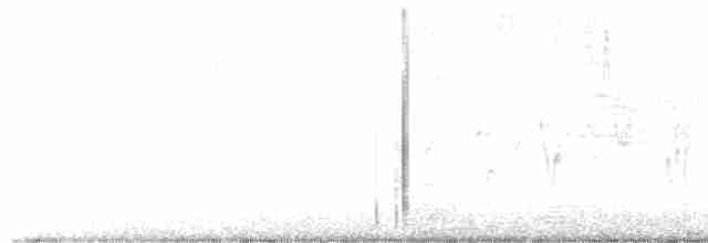 Sperlingsvogel, unbestimmt - ML619115279