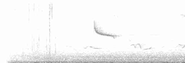 Swinhoe's White-eye - ML619116975