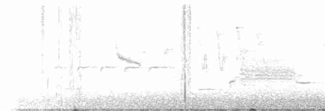 Anteojitos de Swinhoe - ML619116977