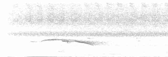Пятнистогрудая тимелия-говорушка - ML619117893