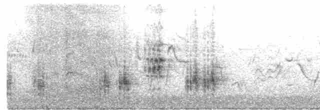 Great Reed Warbler - ML619118254