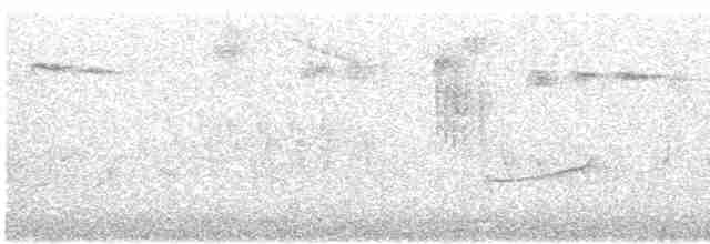 קיכלי לבן-גבה (אירואסייתי) - ML619118556