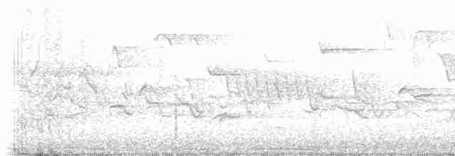 Gartengrasmücke - ML619118682
