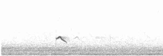 Малый зуёк (curonicus) - ML619119020