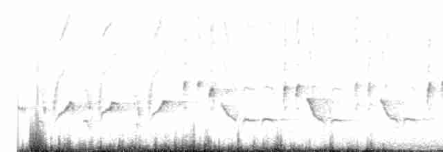 Eastern Orphean Warbler - ML619119478